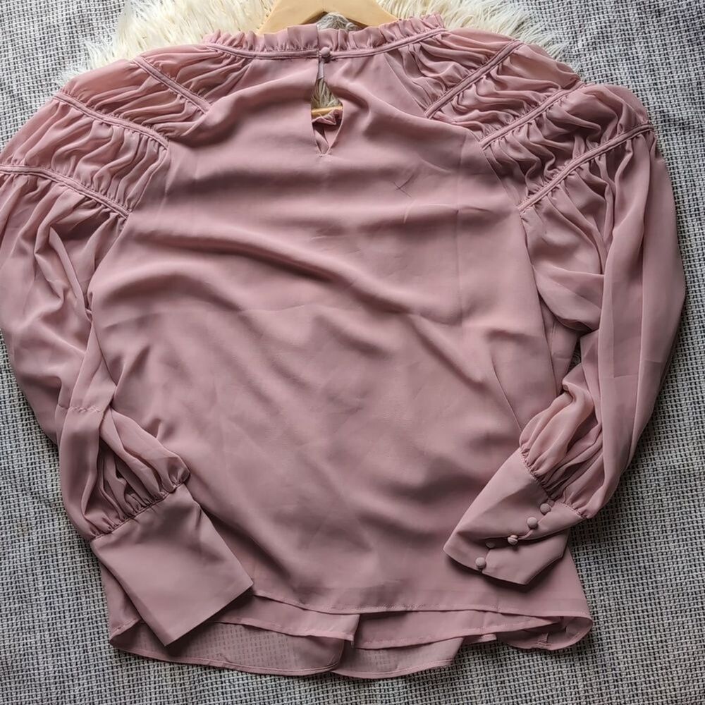 NWT Ann Taylor Women’s Juliet Pleated Sheer Balloon Sleeve Spring Pink Top XL - Picture 11 of 12